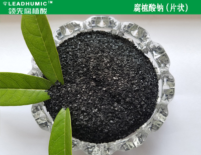 江西腐植酸钠合作富海360建站推广