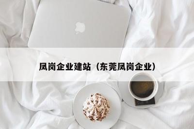 凤岗企业建站(东莞凤岗企业)