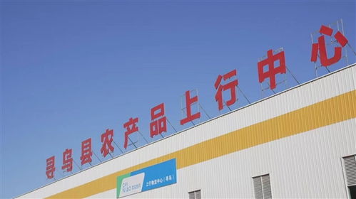 菜鸟物流科技下乡 江西寻乌农产品进城 快递进村 上新 自动化