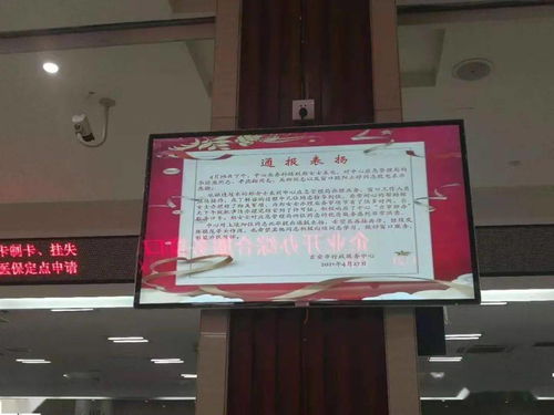 让党史学习教育落到实处